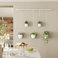 Charger l'image dans la galerie, Umbra Triflora Hanging Planter, Set of 5