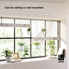 Charger l'image dans la galerie, Umbra Triflora Hanging Planter, Set of 5