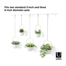 Charger l'image dans la galerie, Umbra Triflora Hanging Planter, Set of 5