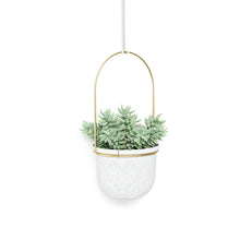 Load image into Gallery viewer, Umbra Triflora Hanging Planter, Set of 5
