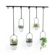 Load image into Gallery viewer, Umbra Triflora Hanging Planter, Set of 5
