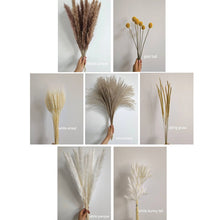 Charger l&#39;image dans la galerie, 17.5” Boho Natural Dried Pampas Bouquet (90 PCs Total)
