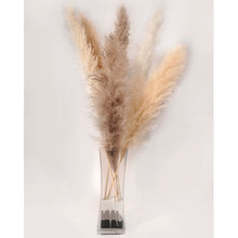 Load image into Gallery viewer, Pack of 3 Boho Natural Dried Grass Stems Pampas
