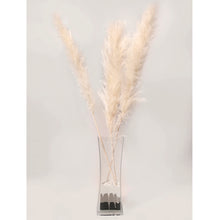 Charger l&#39;image dans la galerie, Pack of 3 Boho Natural Dried Grass Stems Pampas
